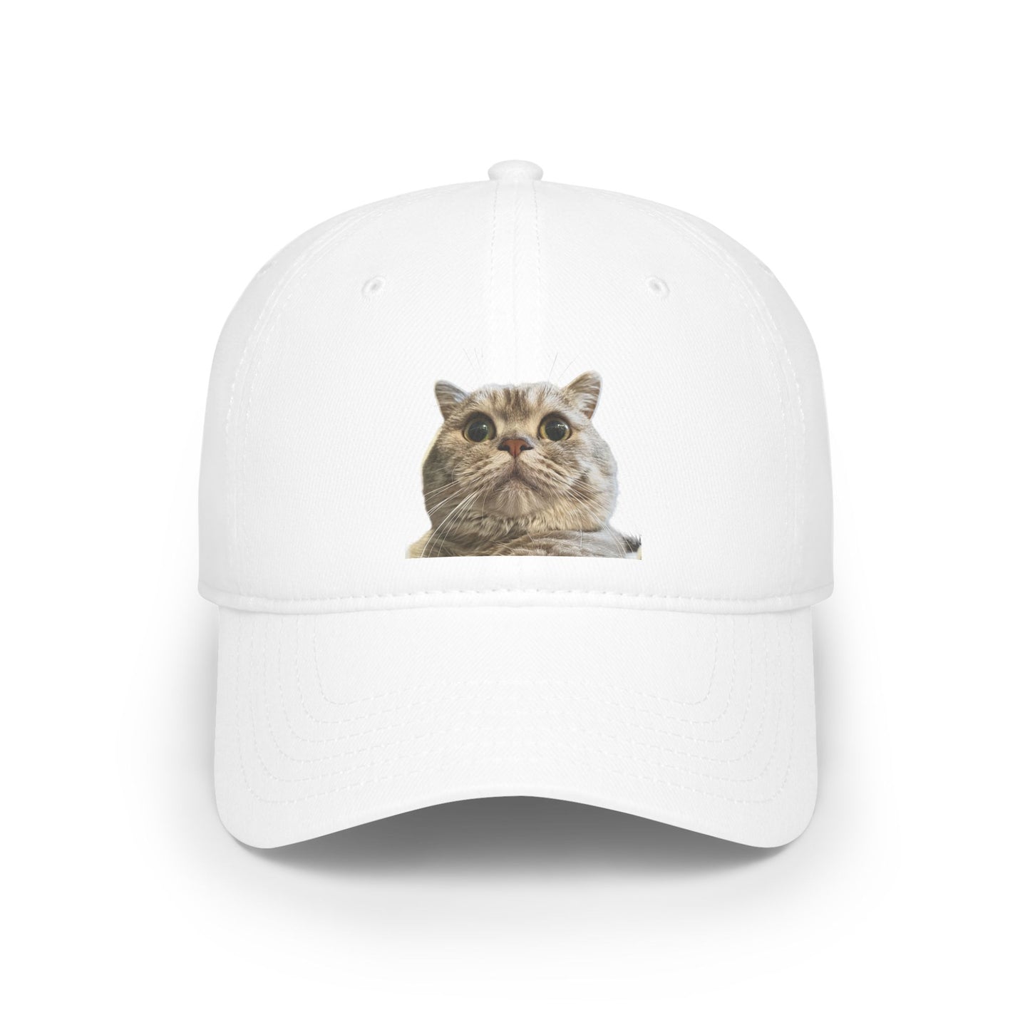 Low Profile Baseball Cap