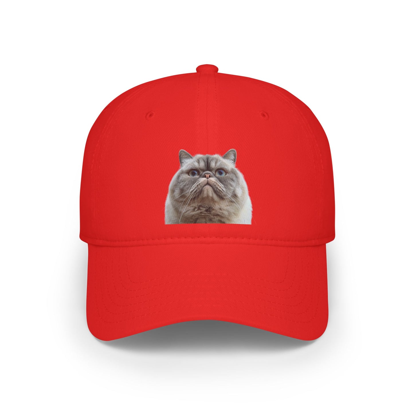 Low Profile Baseball Cap