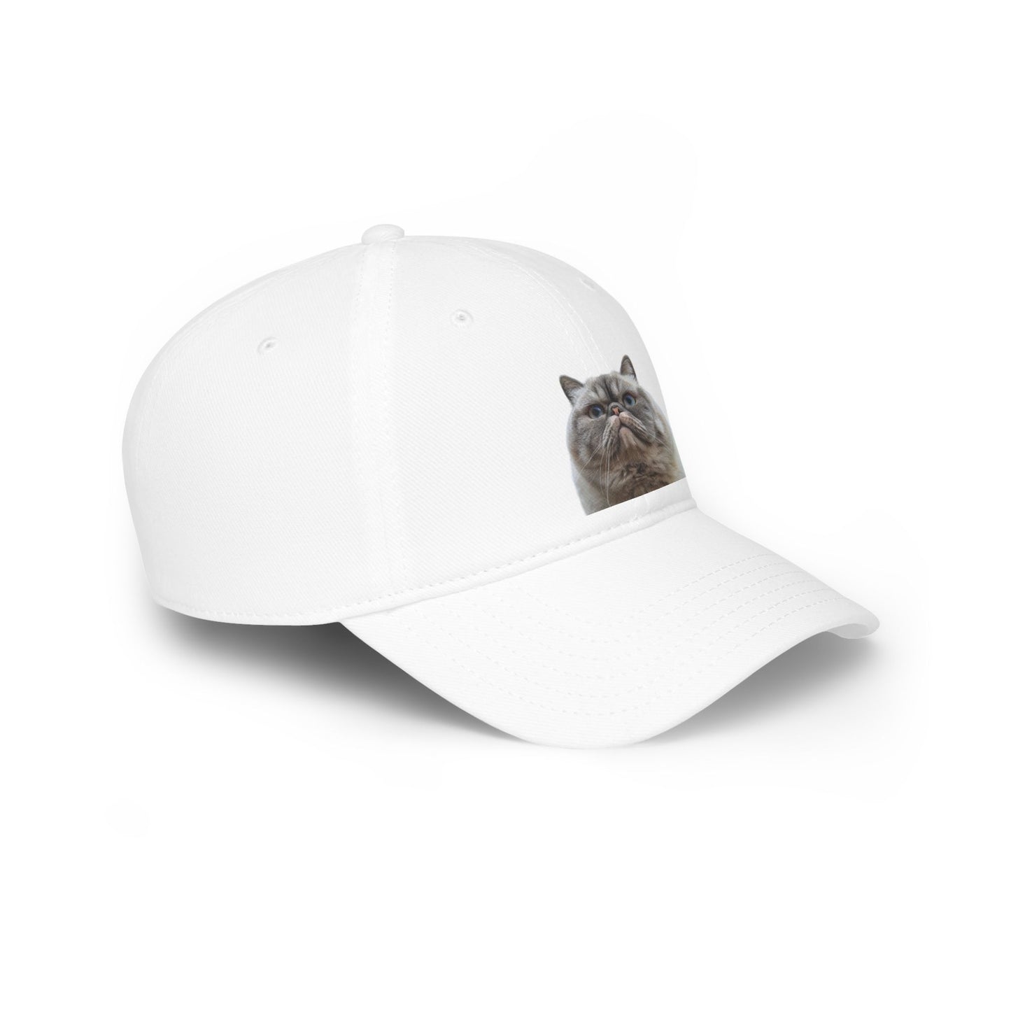 Low Profile Baseball Cap