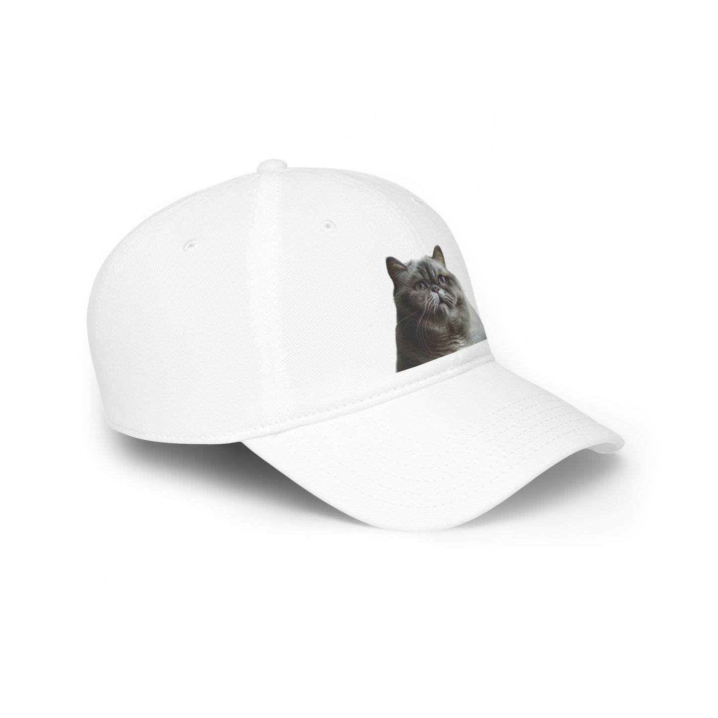 Low Profile Baseball Cap